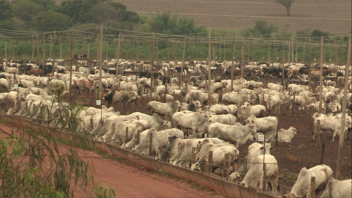 Confinamento de SP garante lucro de até 20% para parceiros 