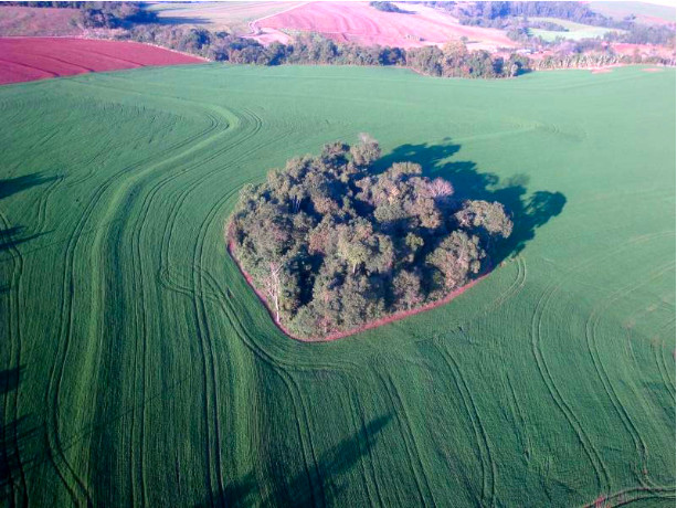 Todo imóvel rural precisa ter uma área de reserva legal?