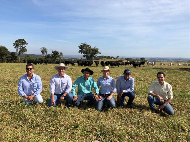 Com uso de tecnologias, fazenda em Goiás produz 9 vezes acima da média brasileira