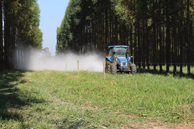 Calagem em pasto já estabelecido: técnica pode ser eficiente?