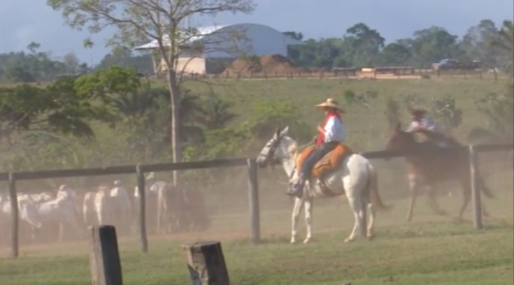 Como premiar os funcionários de uma fazenda de pecuária de corte?