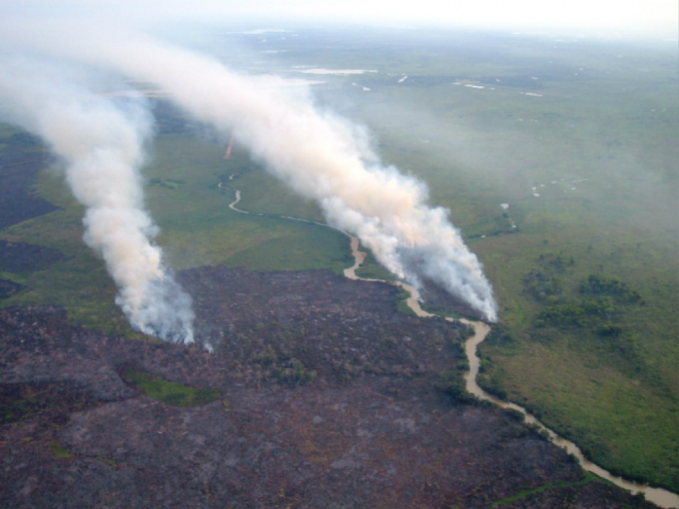 Queimadas no Pantanal do MS já se alastram por mais de 120 mil hectares