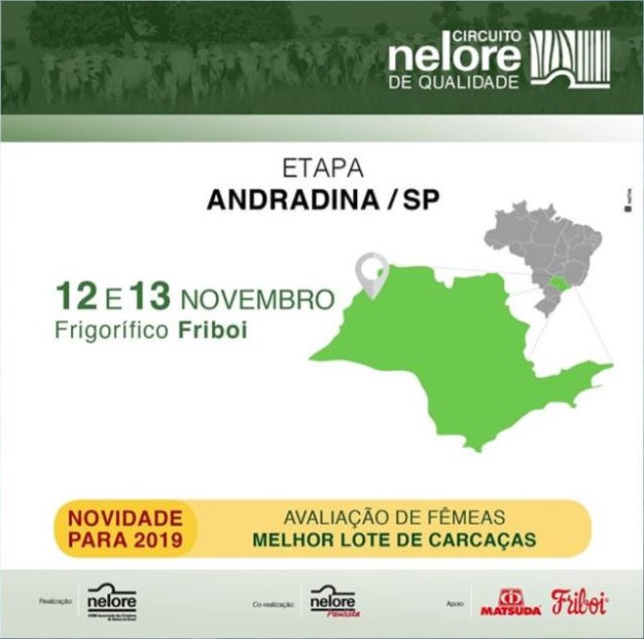 Friboi de Andradina-SP recebe penúltima etapa do Circuito Nelore 2019; ainda restam vagas