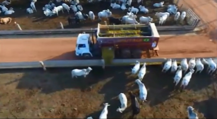 Como o confinamento aproxima a pecuária do nível de gestão da agricultura?