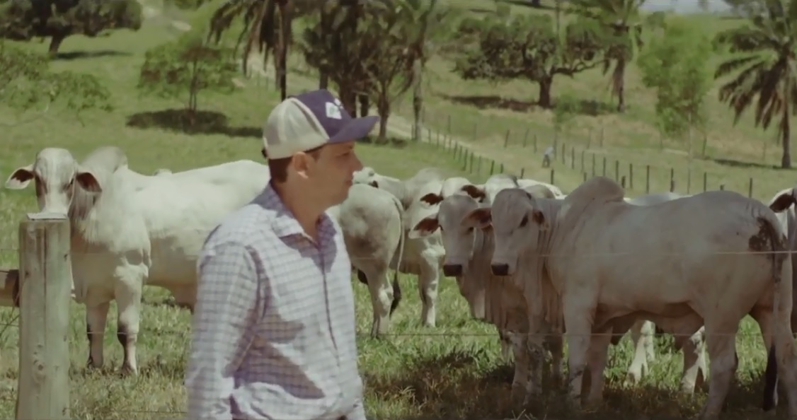 “Precisa de paixão”, diz produtor da Bahia sobre sucesso na pecuária