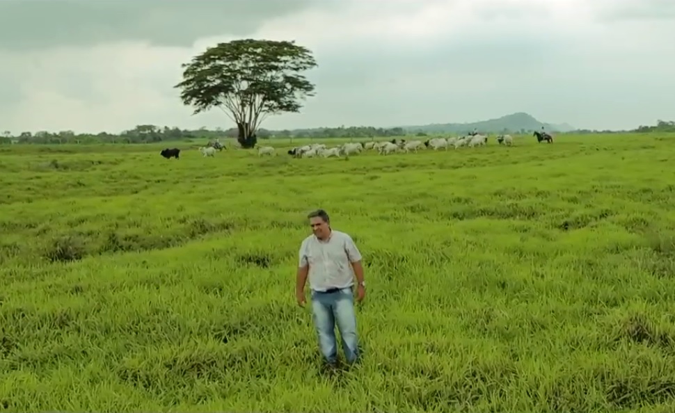 Pecuarista conta como superou desafio da limpeza de pasto na Região Norte