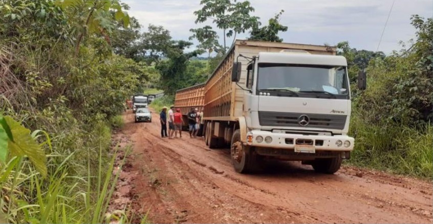 Boiadeiros superam desafios das chuvas para concluir embarque de gado em Rondônia