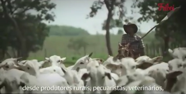 Em vídeo, Friboi reforça compromisso do Agro com a vida dos brasileiros