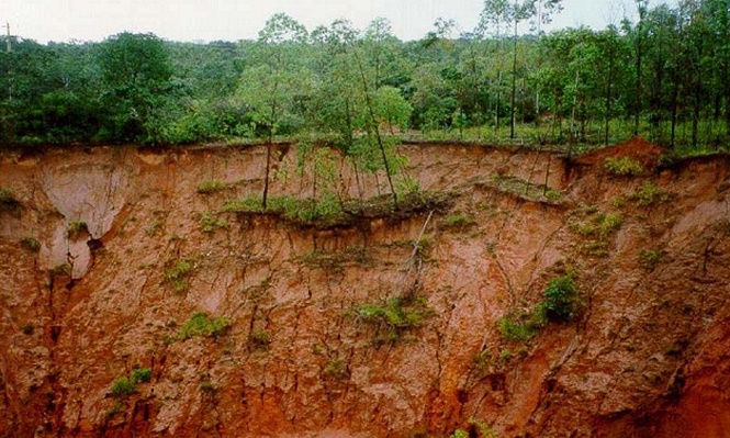 Erosão ameaça segurança alimentar, hídrica e energética; como evitar?