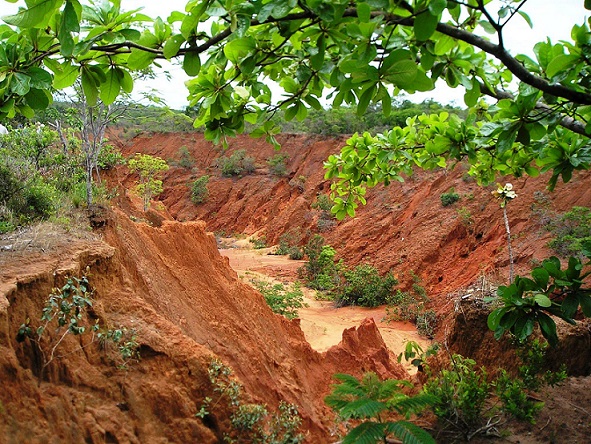 Saiba quais são os três maiores gargalos do manejo de solos do Brasil