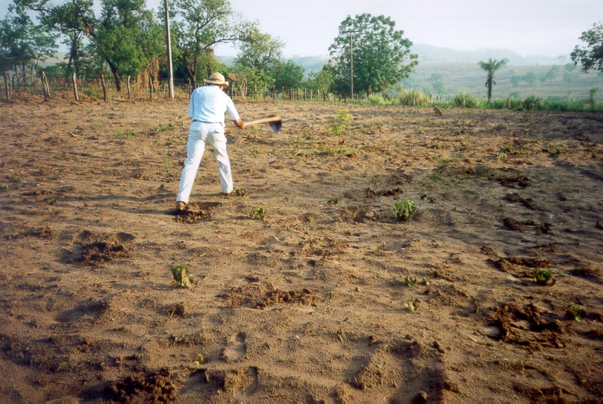 Produtores rurais atraem solidariedade para o Brasil, afirma presidente da ABPA