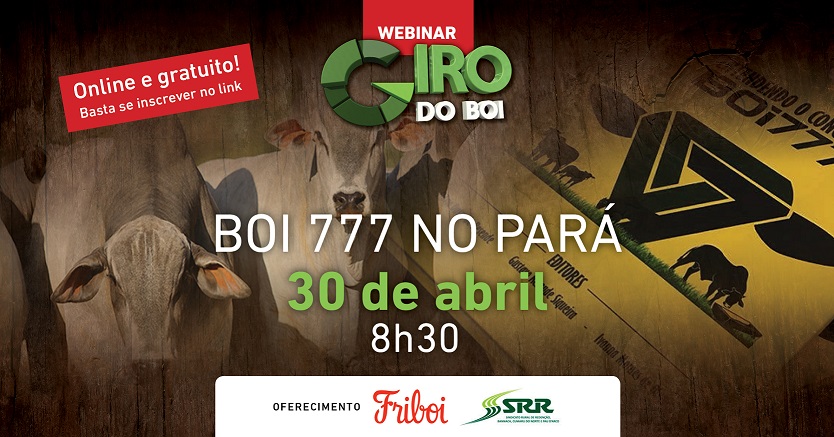 Webinar Giro do Boi - Boi 777 no Pará