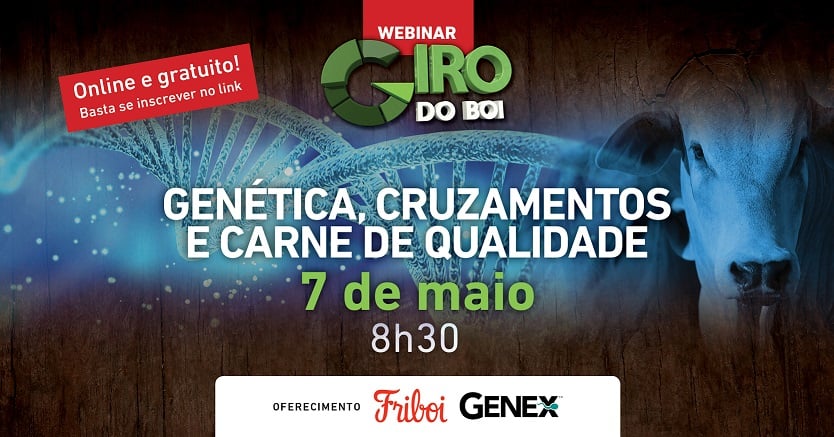 4º Webinar Giro do Boi - Genética, Cruzamentos e Carne de Qualidade