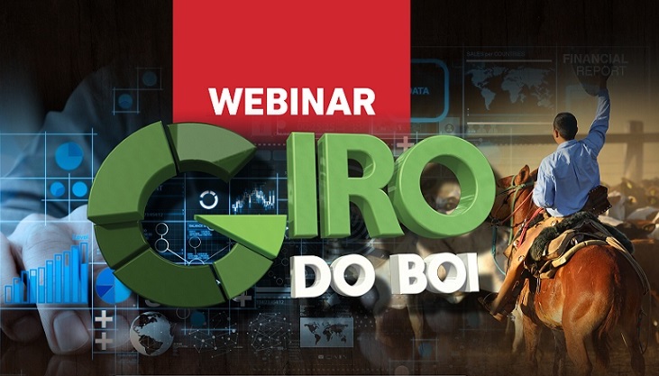 Webinários Giro do Boi: assista as transmissões e baixe as palestras