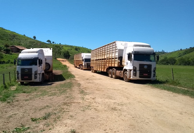 Em Minas, parceria com pecuarista ajuda indústria a contornar distância, relevo e trânsito