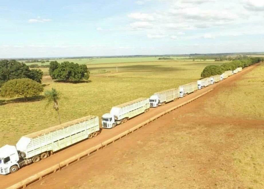 Início da entressafra aquece mercado de confinamento em MT