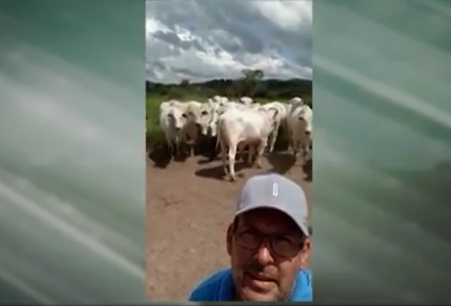 Longe de gente, mas perto do boi: pecuarista do Pará mostra que o Agro não para