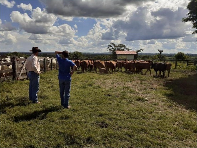 Em Rondônia, família se une para carregar legado do patriarca na Fazenda Três Irmãos