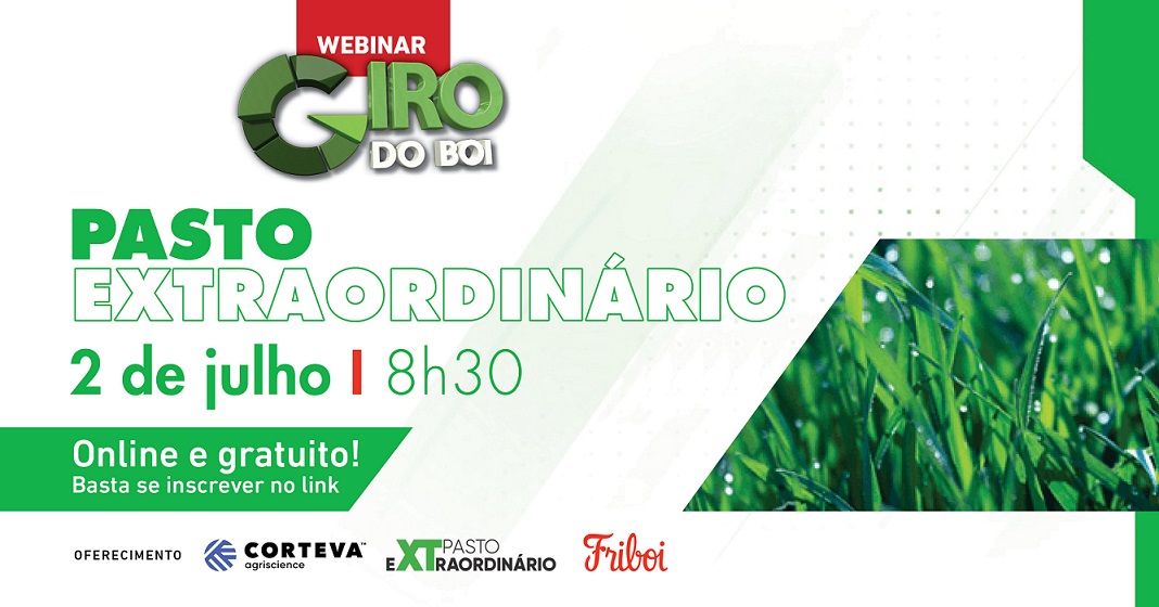 Webinar vai ajudar pecuarista a cultivar seu próprio "pasto extraordinário"