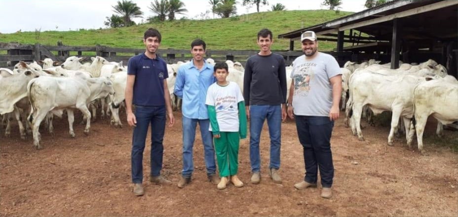 Fazenda no interior de Rondônia celebra 98% de prenhez e mostra a desmama