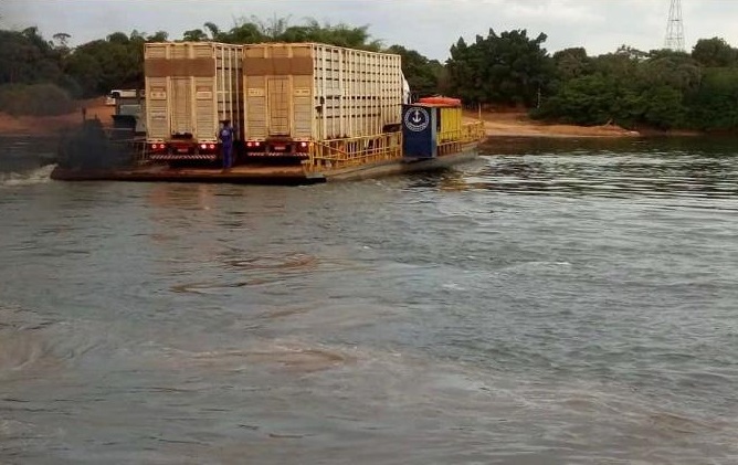 Veja curiosidades das travessias de balsa das carretas boiadeiras em MT