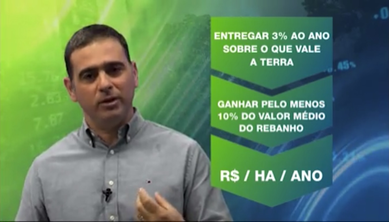 Conheça 3 fórmulas para calcular lucro previsto de fazenda de gado de corte