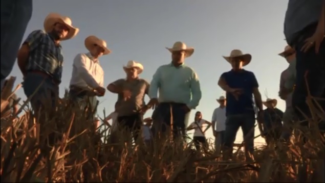 Como qualificar a equipe da fazenda? Se eu treinar o vaqueiro, posso perdê-lo?