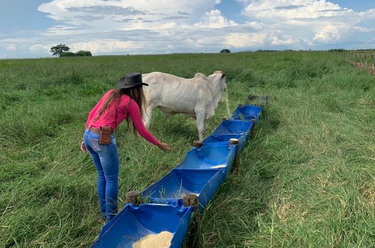 Pecuarista de Barretos-SP conta os segredos de sua “lavoura de arrobas”