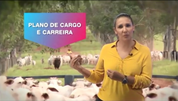 Como criar um plano de cargo e carreira para os funcionários da fazenda?