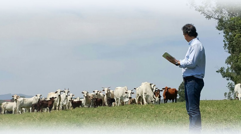 Pecuária bota o pé no acelerador e vendas de sêmen crescem 47% no semestre