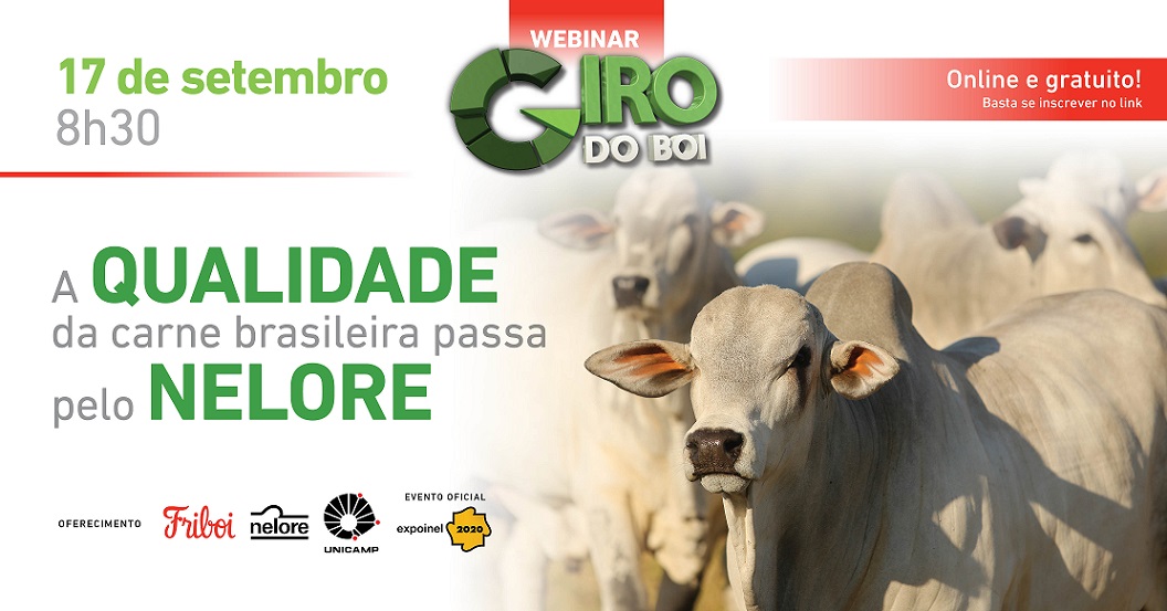 16º Webinar Giro do Boi - A qualidade da carne brasileira passa pelo Nelore