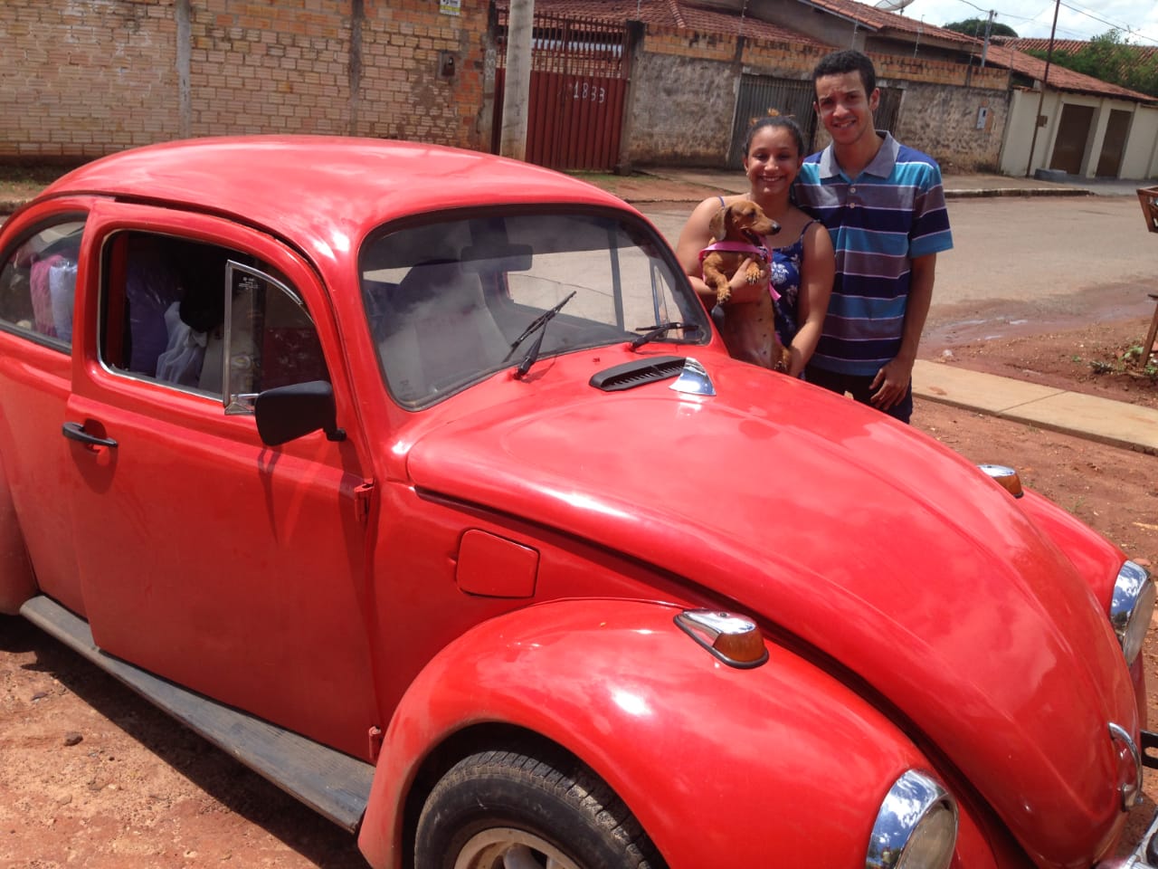 Apaixonada pela pecuária, Ana viajou 2 mil km de Fusca para cumprir seu destino