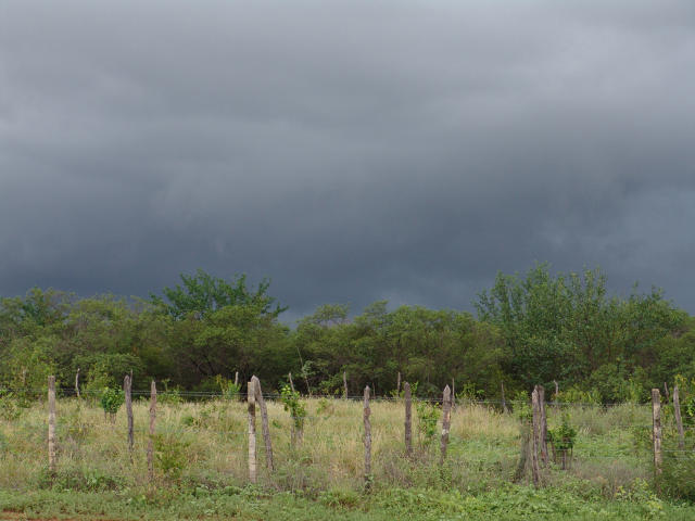 Como ficam as tendências de umidade solo em áreas de pasto no País