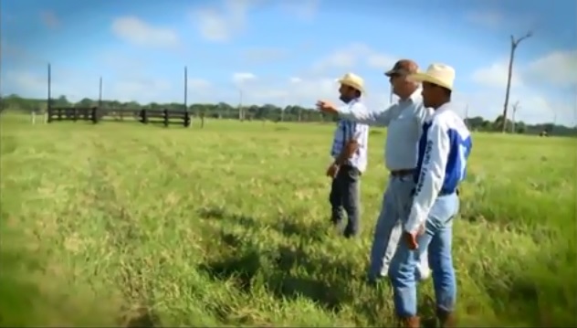 Como dar feedback para os funcionários da minha fazenda?