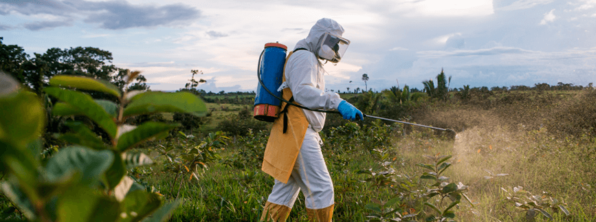 Pecuarista ganha reforço para controlar infestação de “praguinhas moles” no pasto