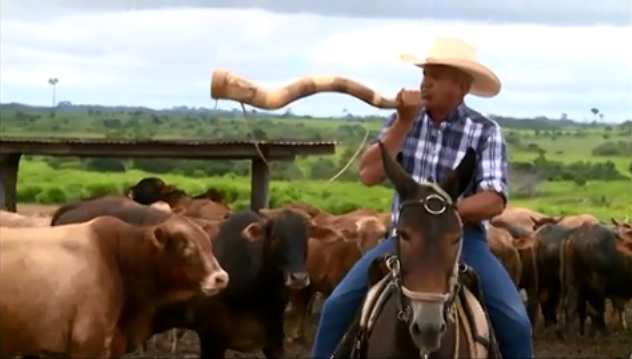 Nene do Manelão