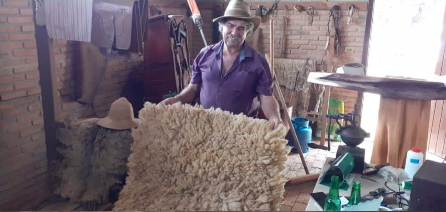 Ex-piloto trocou o céu pelo campo e construiu fazendas de sucesso em Rondônia