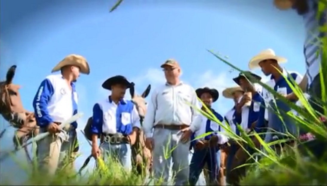 Como incentivar o “toró de parpite” e como a prática melhora o resultado da fazenda