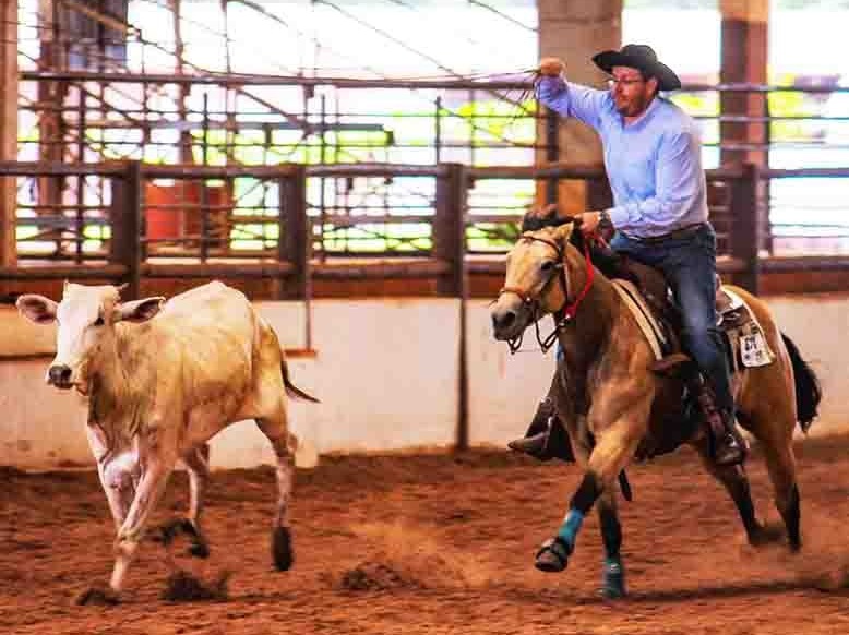 Especialistas destacam fatores que influenciam desempenho do cavalo atleta