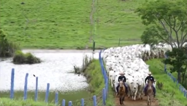 O que é e como fazer a gestão da qualidade da equipe da sua fazenda?