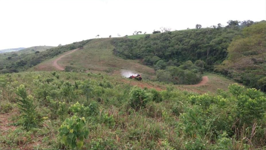 Fatores climáticos extremos podem agravar infestação de plantas daninhas