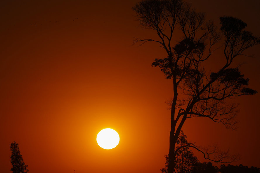 onda de calor