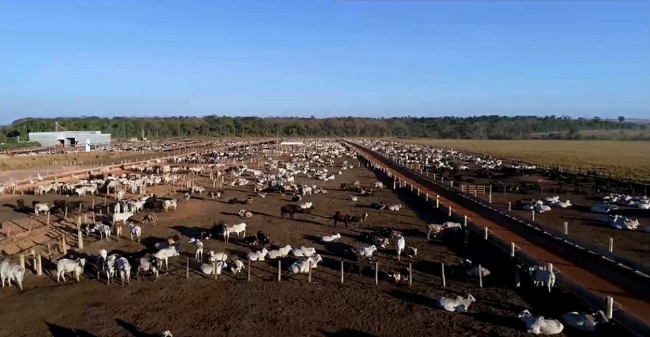 Boitel se consolida como ferramenta que auxilia pecuarista dentro e fora da porteira