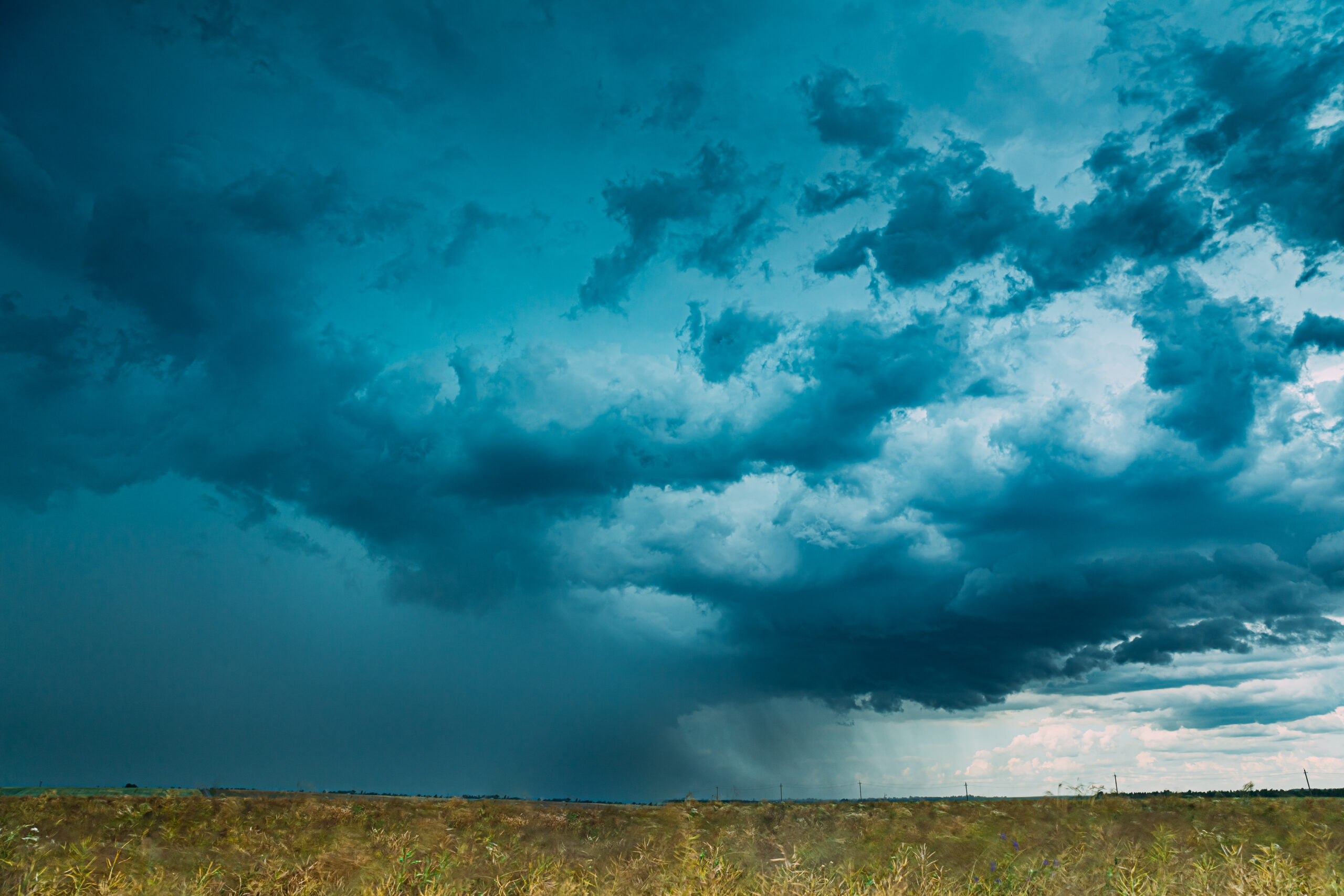 Dramatic Rainy Sky With Rain Clouds On Horizon Above Rural Landscape Field. Agricultural And Weather Forecast Concept. White Mustard Field