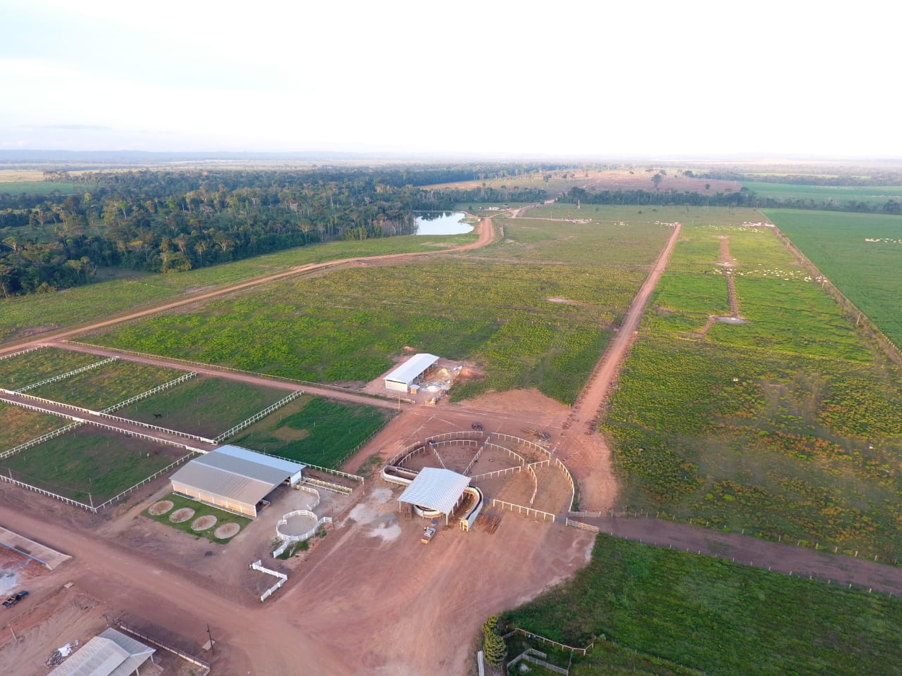 Em Alta Floresta-MT, confinamento de gado ajuda fazenda a triplicar desfrute