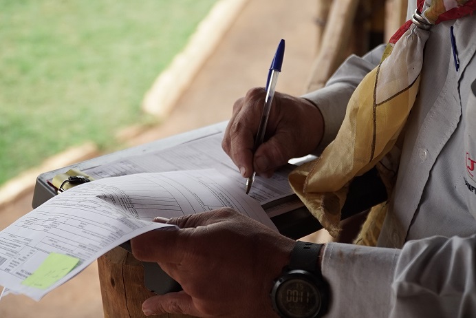 Aprenda a fórmula dos principais indicadores de uma fazenda de gado