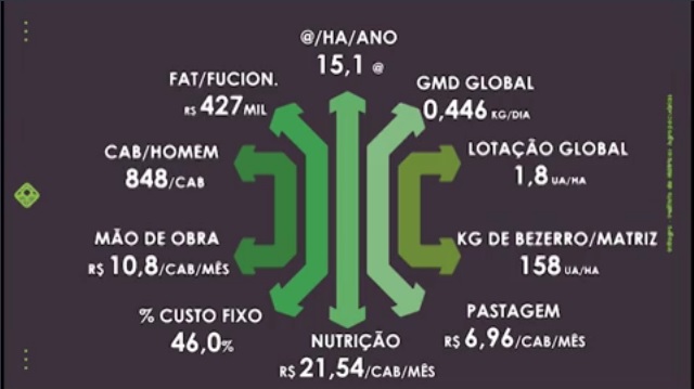 10 passos para sua fazenda de ciclo completo ser uma das mais rentáveis do país