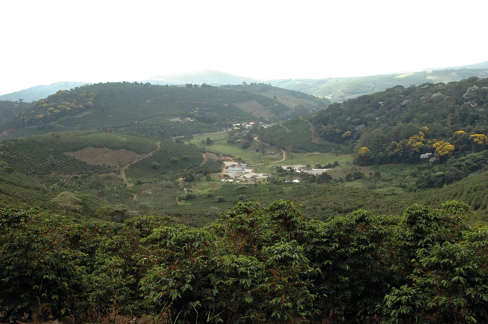 Parcial da região de Manhuaçu. A cidade é cercado de reservas de mata atlântica e natureza diversificada. Na economia da Zona da Mata destacam-se as indústrias, a criação de gado leiteiro e plantações de cana-de-açúcar, café, milho e feijão.