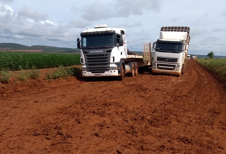 Estradas do sudeste, norte e nordeste de MT têm problemas para transportar gado