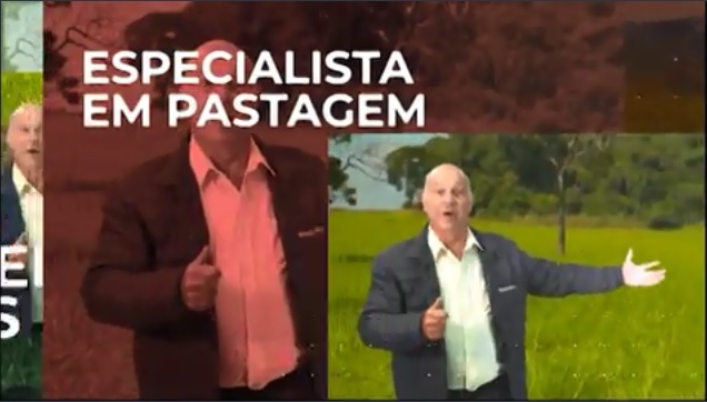 “Nunca adube o pasto antes de eliminar a planta daninha”, indica agrônomo